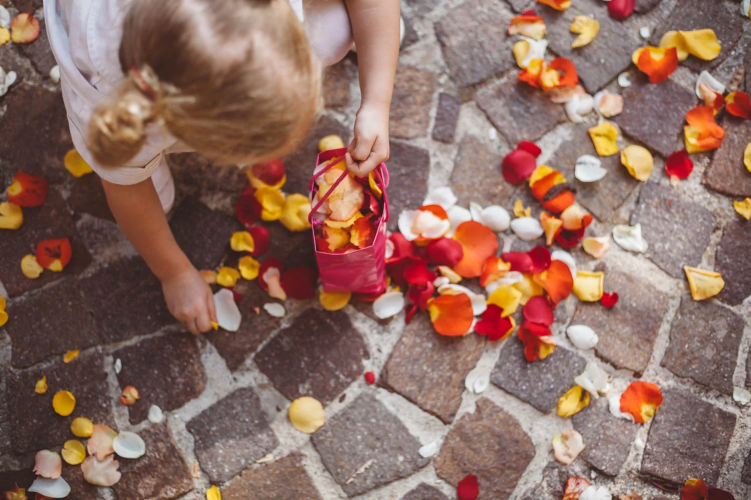 wedding photographer Provence