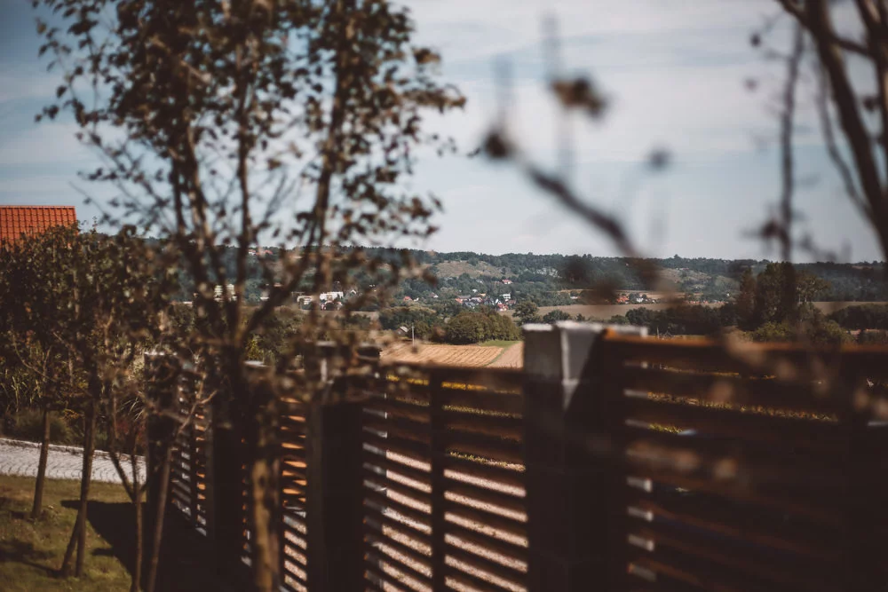 wesele_dolina_cedronu001