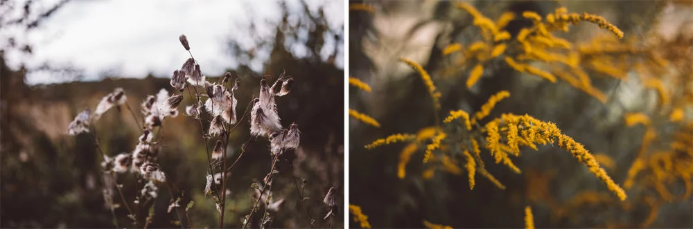 sesja narzeczenska mazury 002