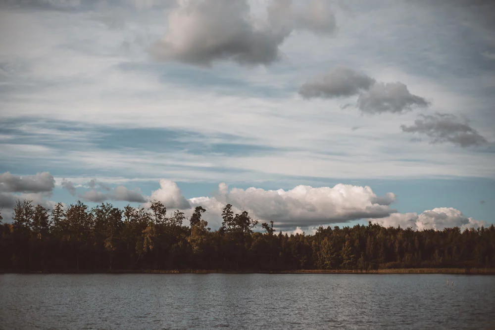 sesja narzeczenska mazury 009