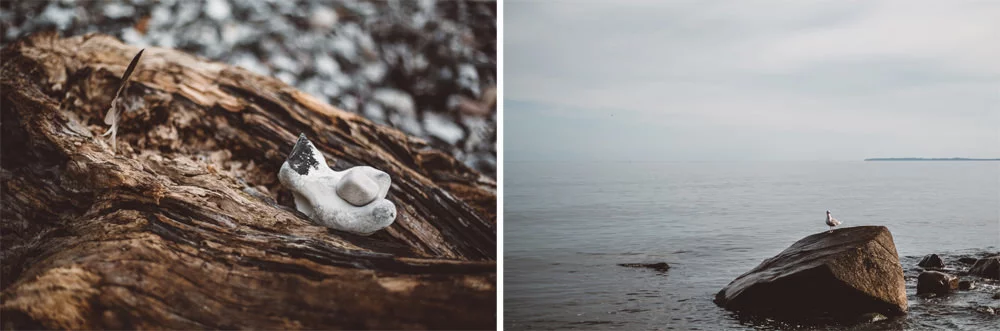 wedding_photographer_rugen