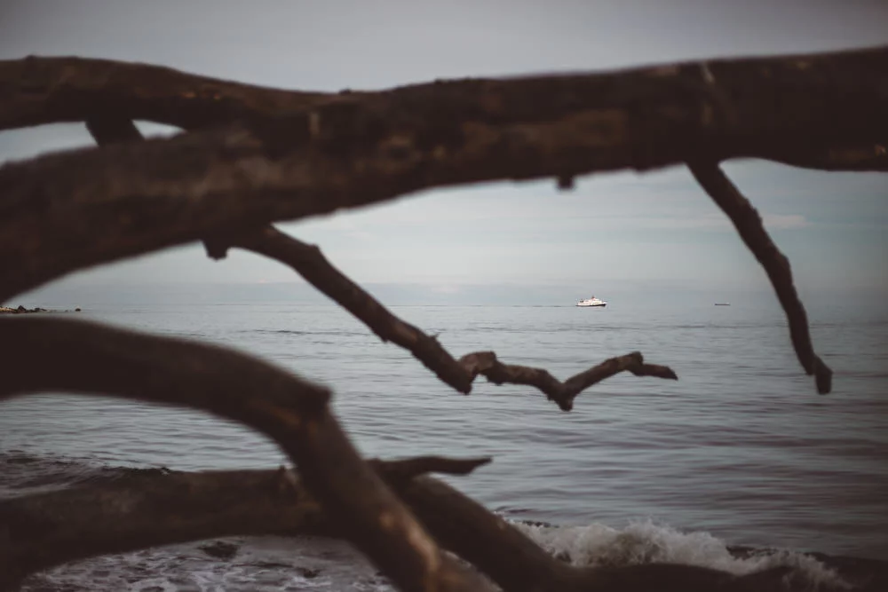 wedding_photographer_rugen