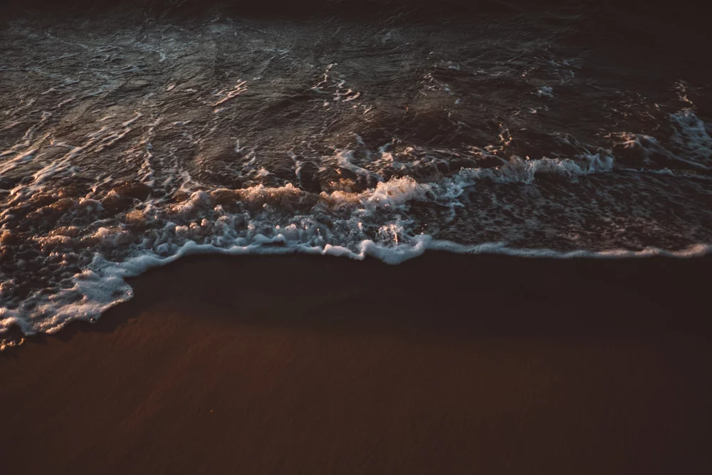 wedding_session_by_the_sea