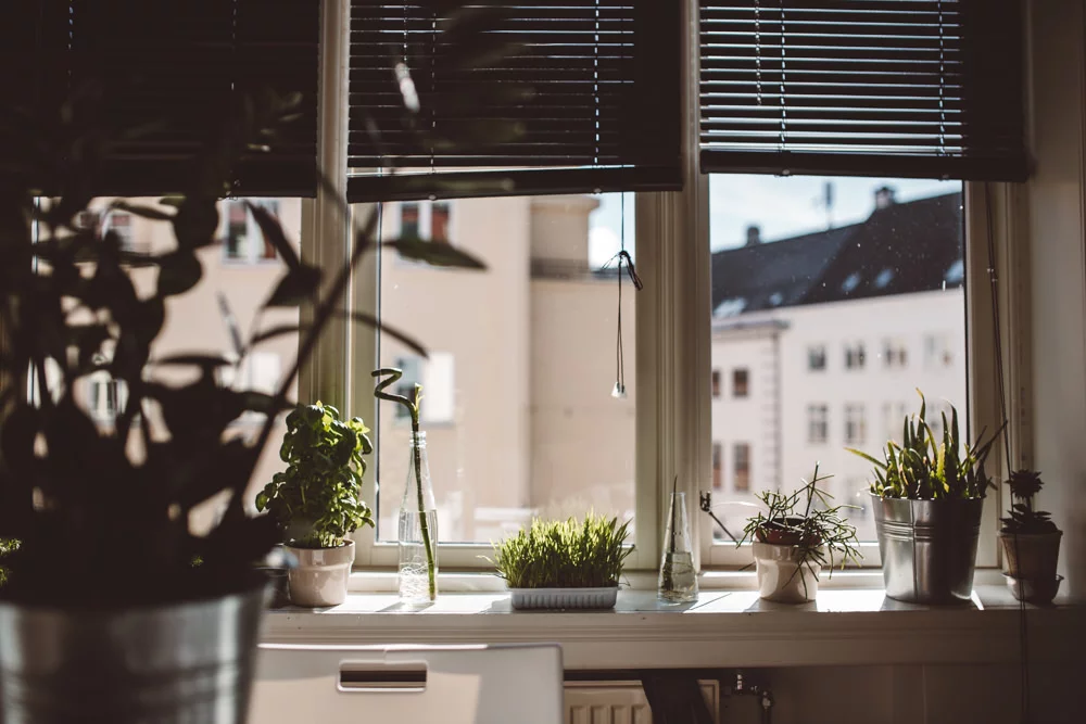 sesja ślubna w norwegii