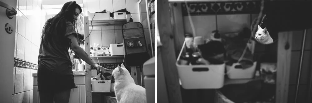 sesja slubna w norwegii 11