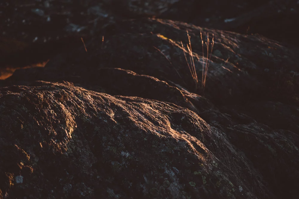 sesja ślubna w norwegii