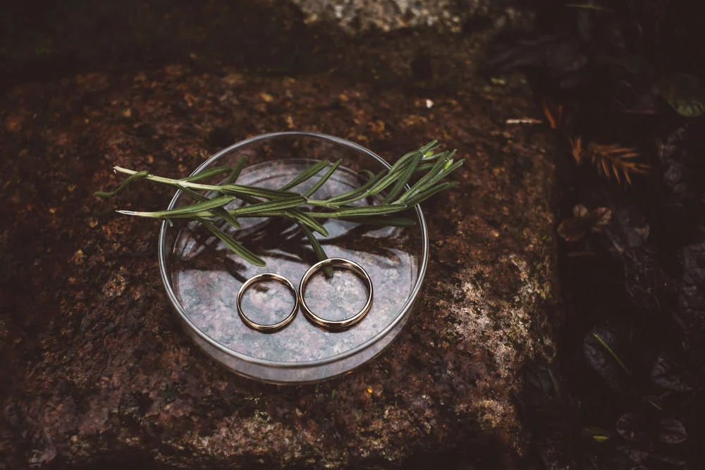 rustykalne wesele w cegielni rzucewo