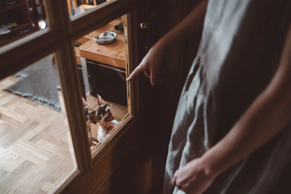 rustykalne wesele w cegielni rzucewo