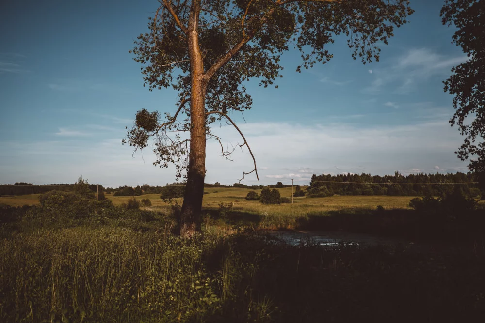 Sesja ślubna Kawkowo