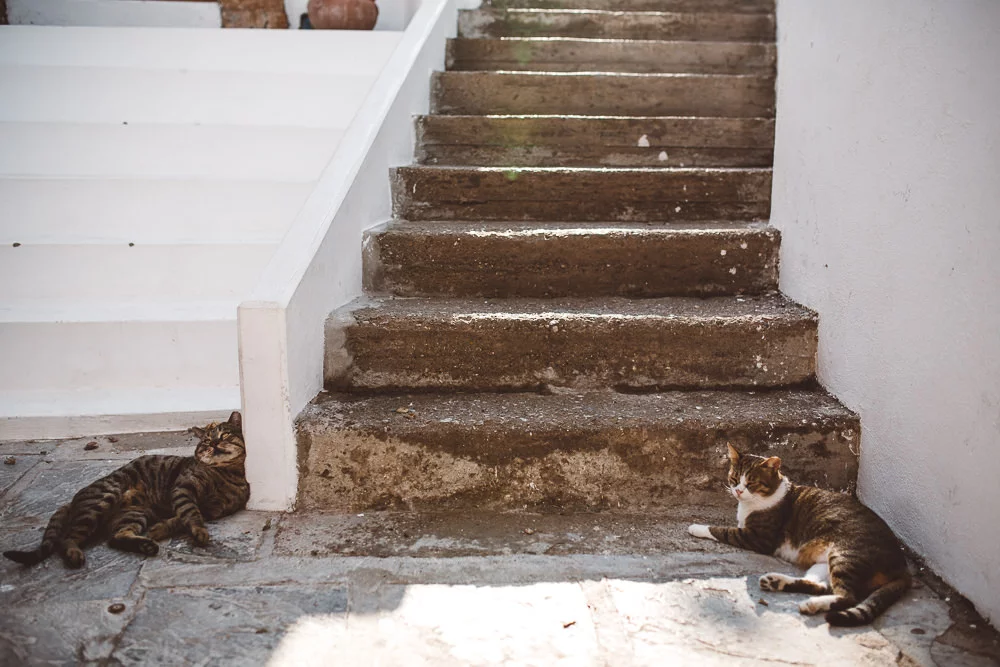 sesja slubna na rodos 29