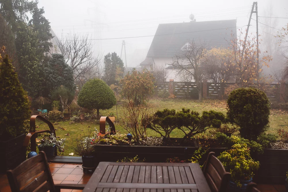wesele w elektrycznym zurawiu001