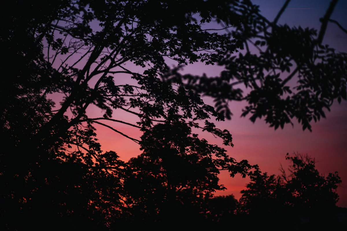 wesele zamek rzucewo 103