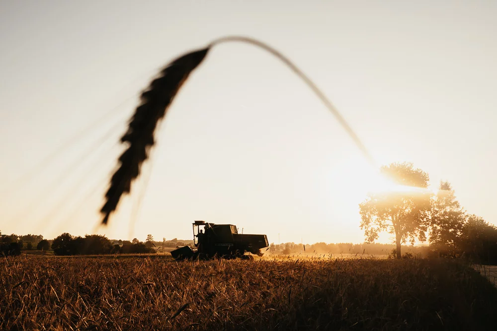 193 193 82 70 Harvest