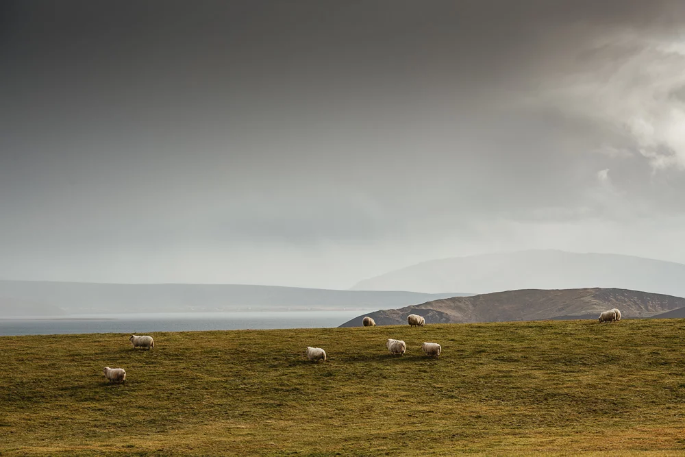 2015 10 16 23 Islandia A 43