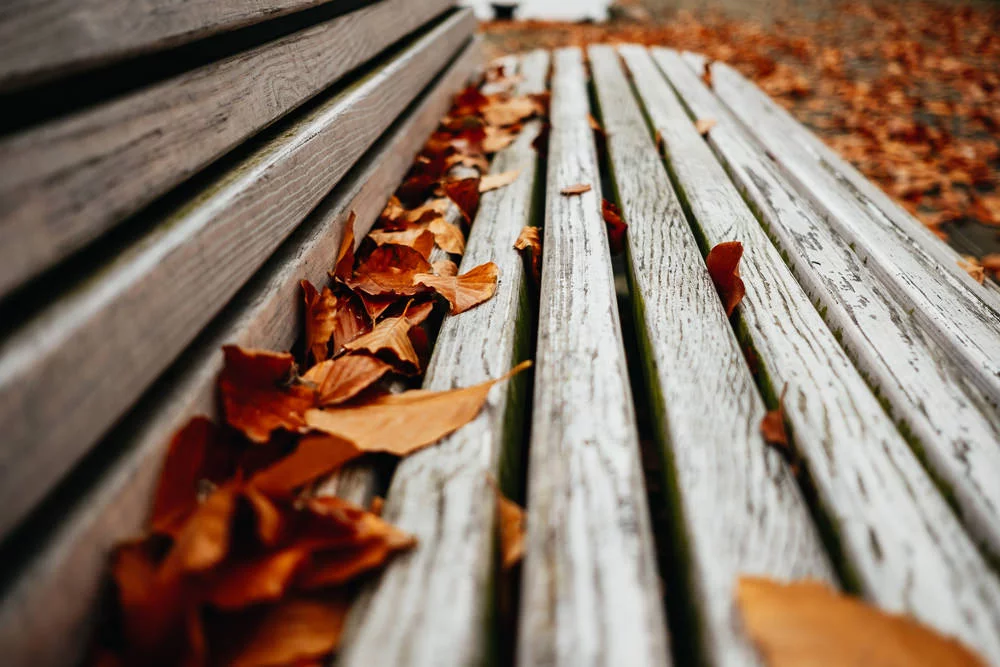 205 205 94 74 The Bench