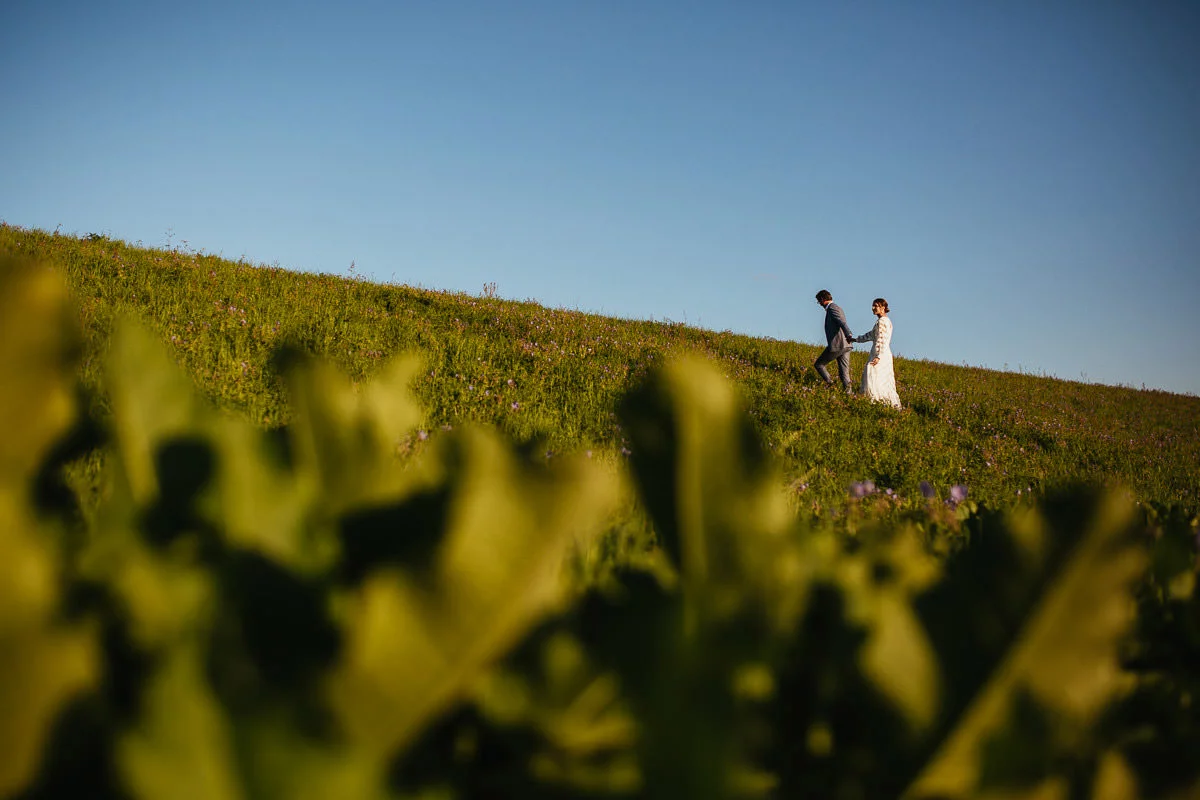 sesja ślubna na żuławach