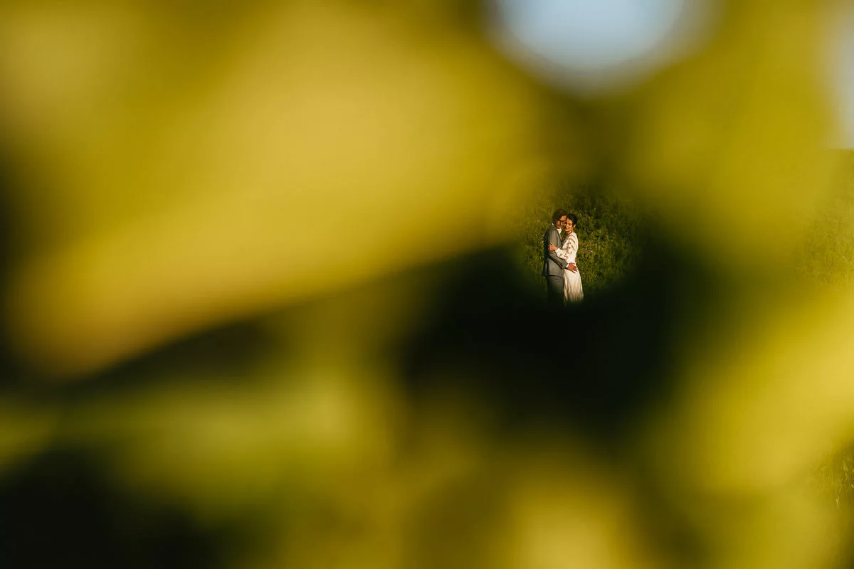 sesja ślubna na żuławach