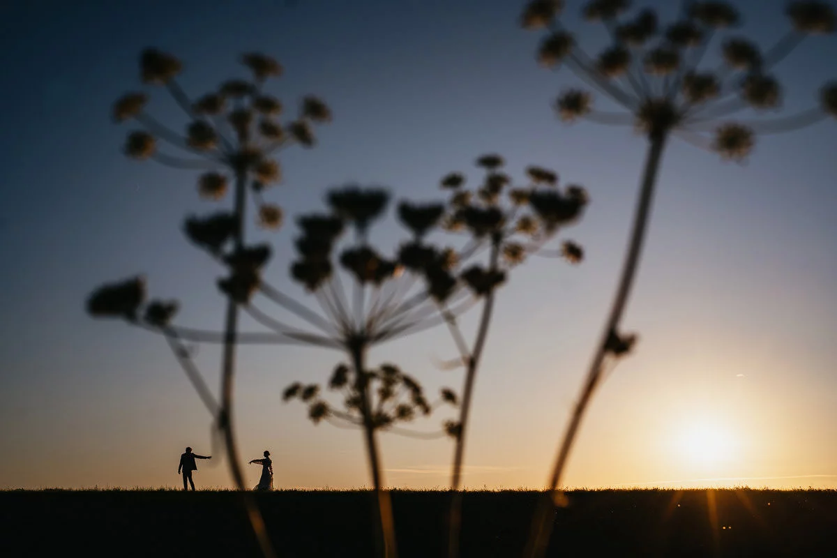 sesja ślubna na żuławach