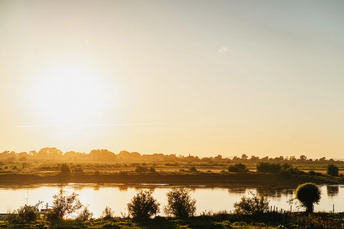 sesja ślubna żuławy
