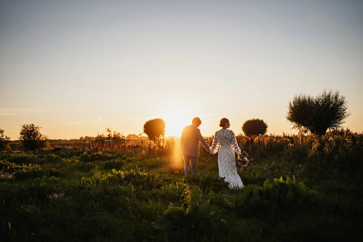 sesja ślubna na żuławach