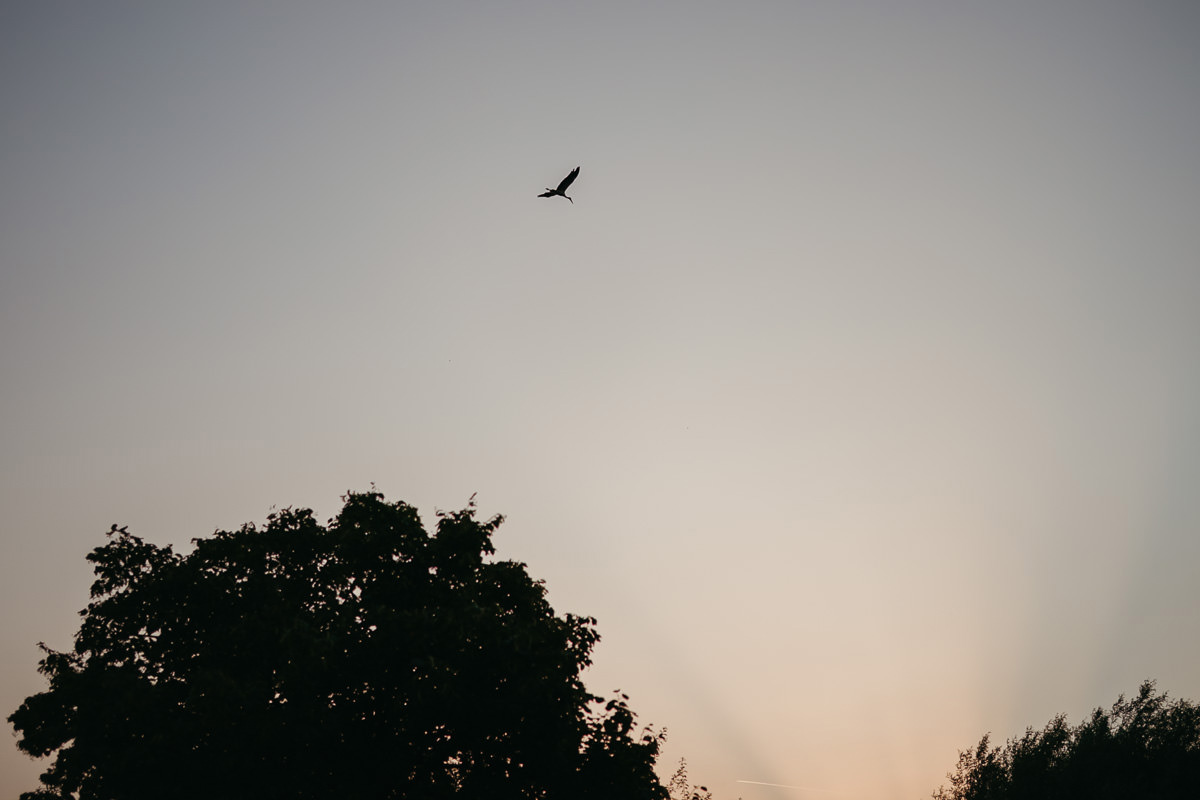 wesele sielanka arciszewo 111